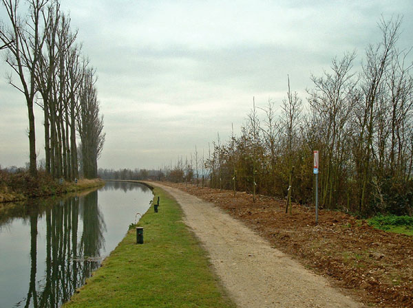 Nouvelles plantations en amont de l'écluse